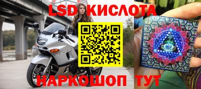 гидра Славгород