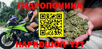 дмт Славянск-на-Кубани